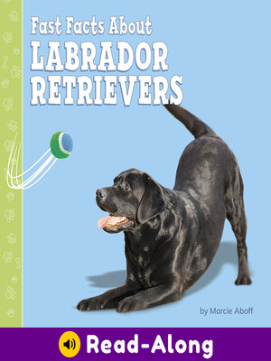 cover image of Fast Facts About Labrador Retrievers